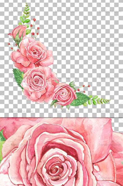 عکس حاشیه گل های زیبا