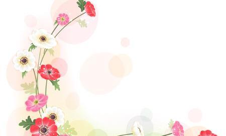 عکس حاشیه گل های زیبا