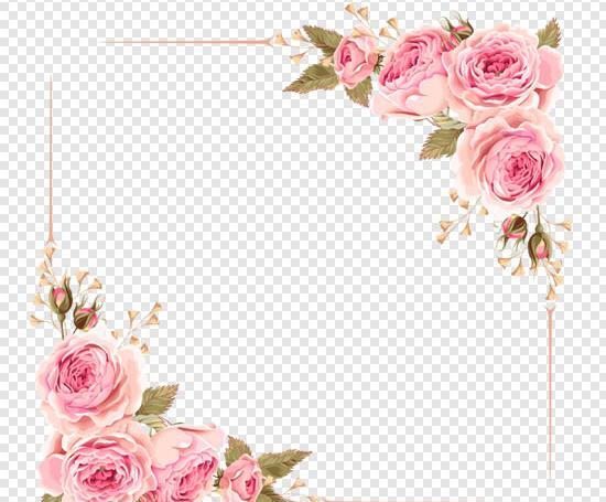 عکس حاشیه گل های زیبا