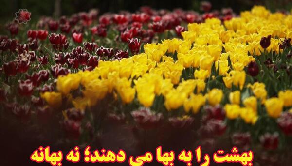 عکس خدا در بهشت