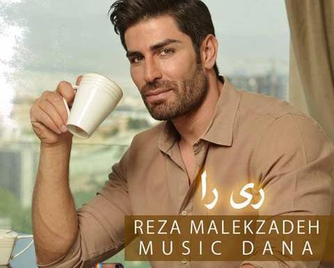 عکس رضا ملک زاده و همسرش