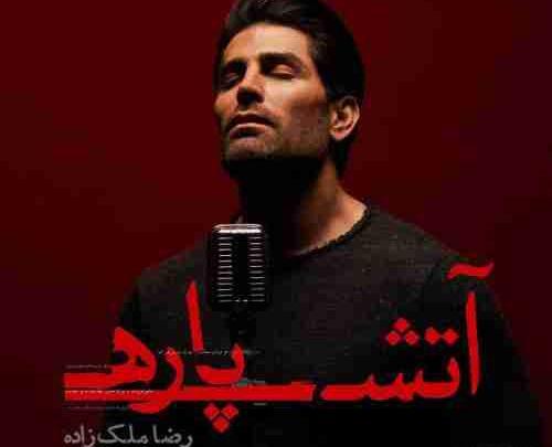 عکس رضا ملک زاده و همسرش
