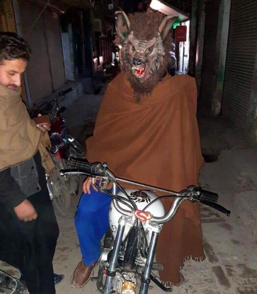 عکس گرگینه واقعی