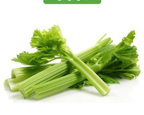 عکس باغ کرفس