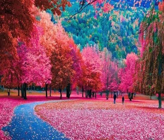 عکس طبیعت رویایی