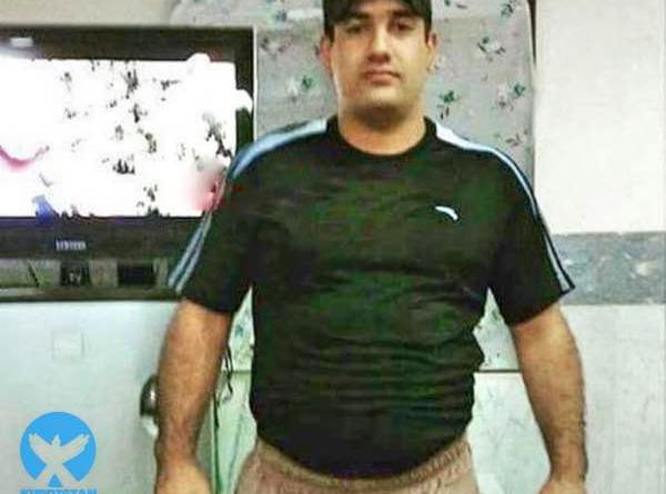 عکس قبر فرزاد شاهی