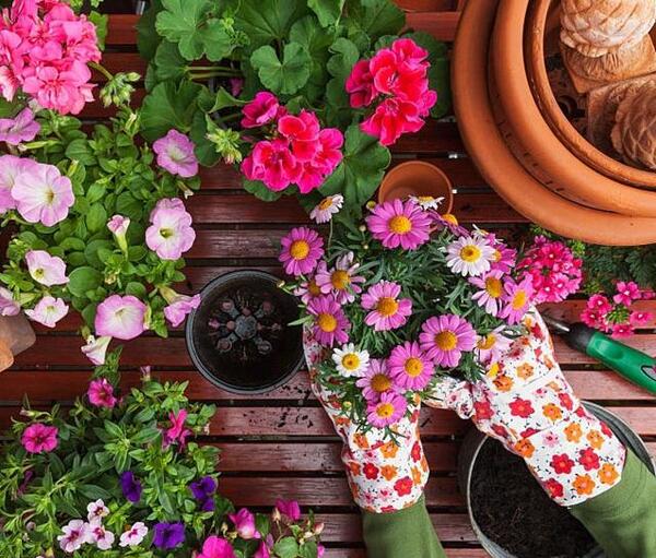 عکس های بهاری برای پروفایل