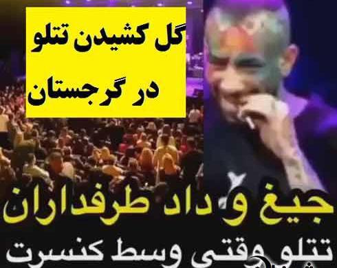 عکس تتلو کنسرت