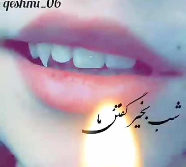 عکس شب بخیر گفتن ما محض ادای ادب است