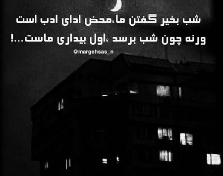 عکس شب بخیر گفتن ما محض ادای ادب است