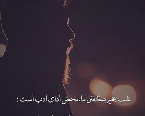 عکس شب بخیر گفتن ما محض ادای ادب است