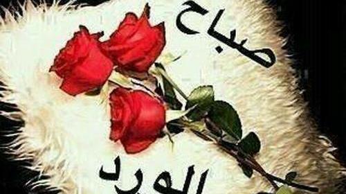 عکس صباح
