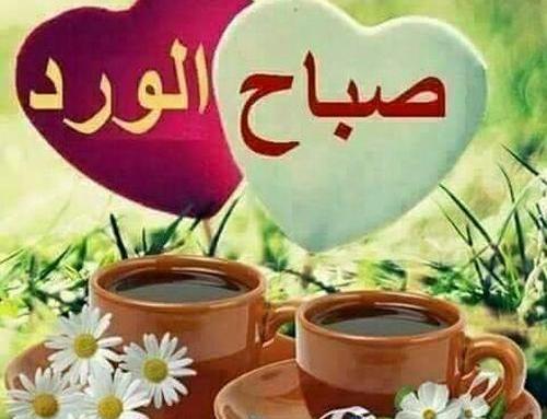 عکس صباح