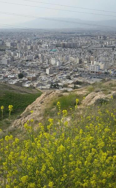 عکس بهار شیراز
