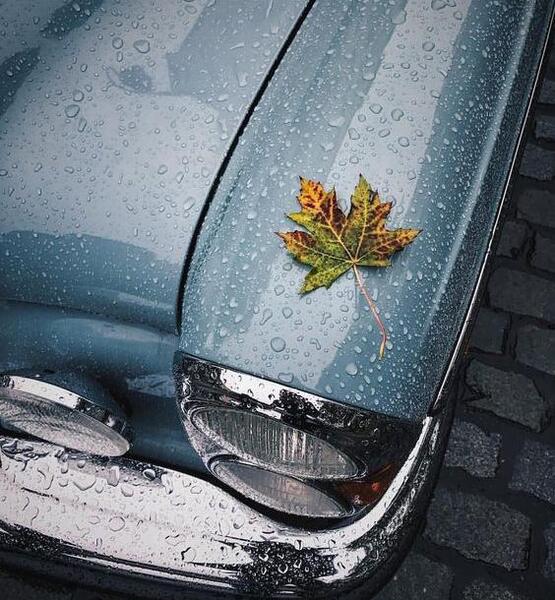 عکس باران تو ماشین