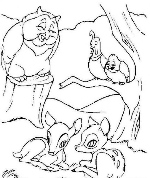 عکس آهوی نشسته