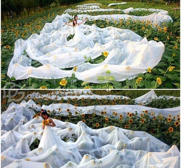 عکس های خنده دار خانه تکانی
