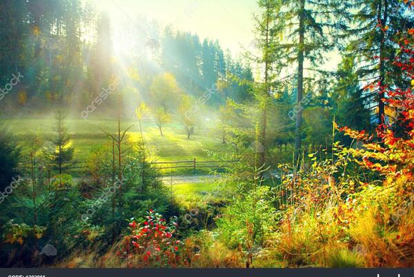 عکس طبیعت زیبای صبح