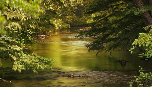 عکس تصاویر زیبای طبیعت جهان hd