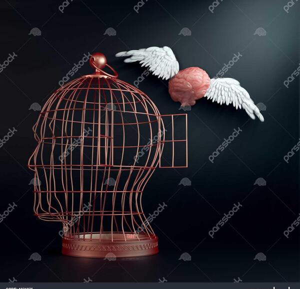 عکس پرواز ذهن