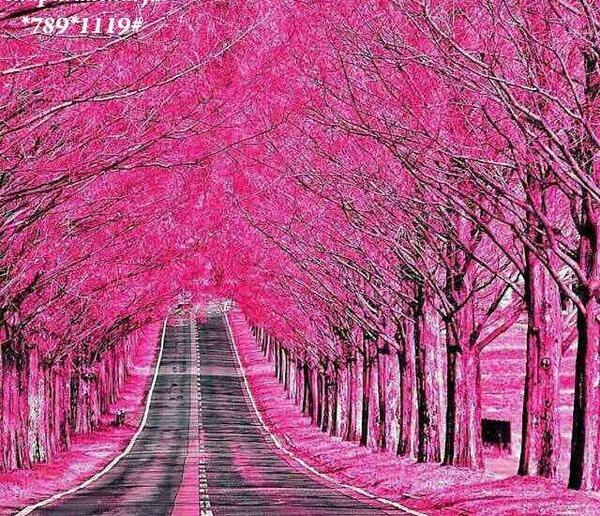 عکس زیبا طبیعت عاشقانه