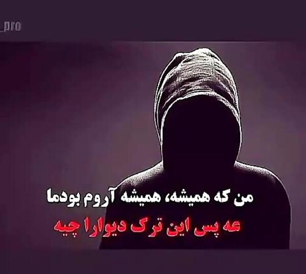 عکس شاه شطرنج مهراب