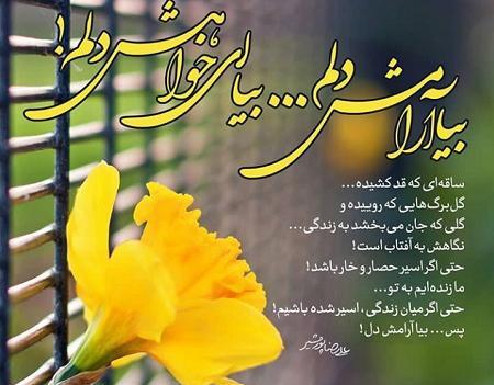 عکس نوشته امام زمان و گل نرگس