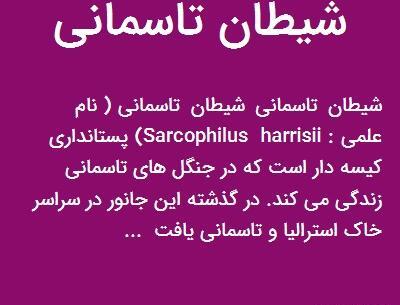 عکس شیطان تاسمانی (لونی تونز)