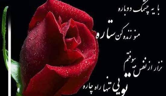 عکس گلهای زیبا همراه با متن