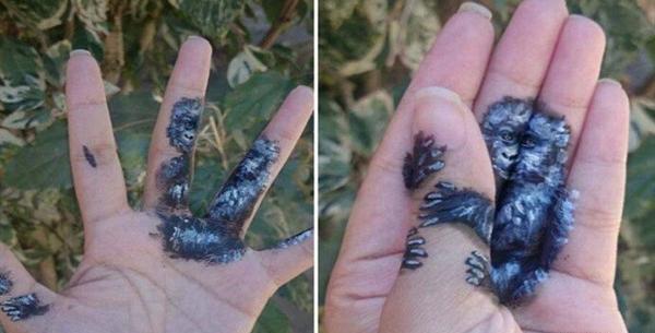 عکس سه بعدی حرف a