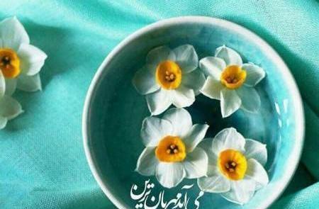 عکس گل نرگس صلوات