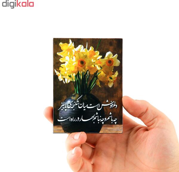 عکس گل نرگس صلوات