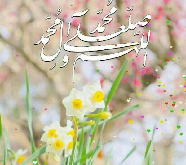 عکس گل نرگس صلوات