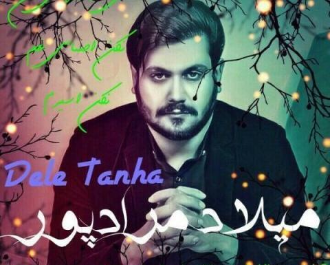 عکس احسان مرادپور