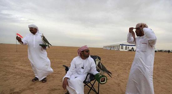 عکس شاهین چرخ