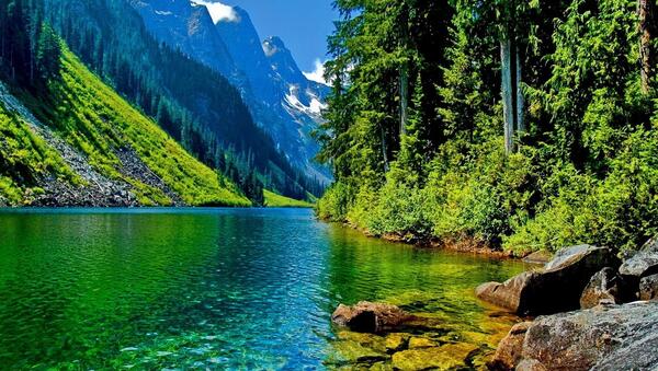 عکس طبیعت زیبا با کیفیت بالا