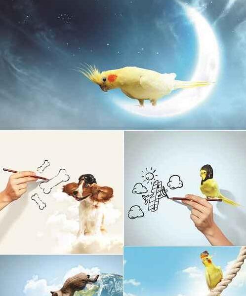 عکس مفهومی آبی