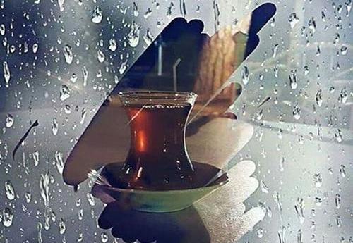 عکس باران چای