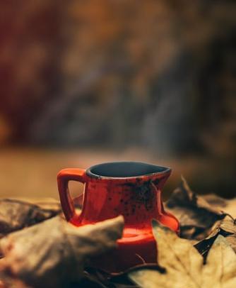 عکس باران چای
