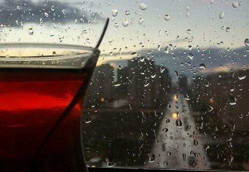 عکس باران چای