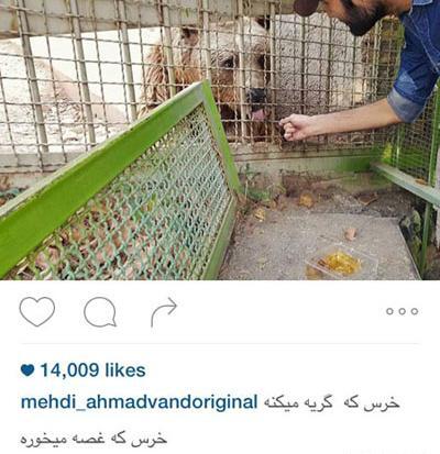 عکس نوشته مهدی احمدوند