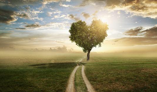 عکس مفهومی طبیعت