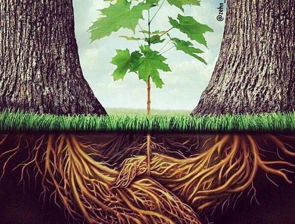 عکس مفهومی طبیعت
