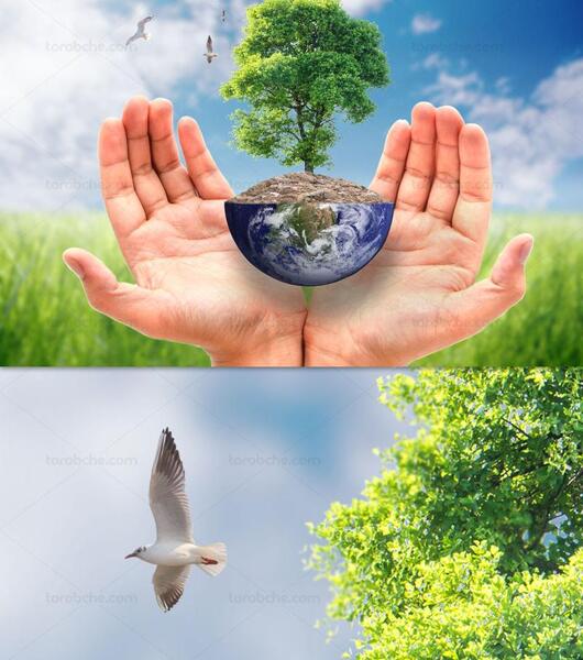 عکس مفهومی طبیعت