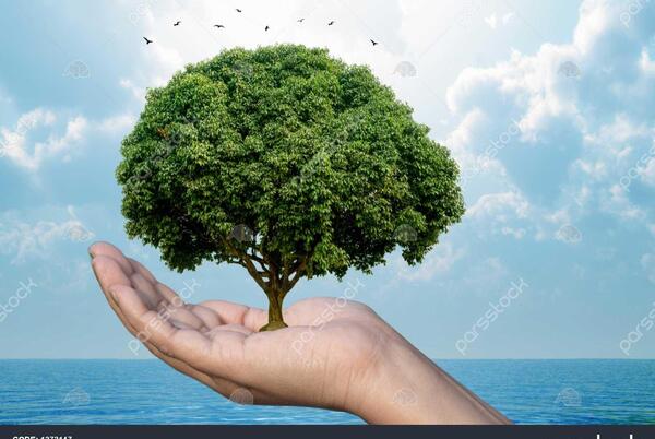 عکس مفهومی طبیعت