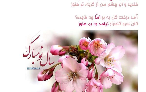 عکس بهار آمد
