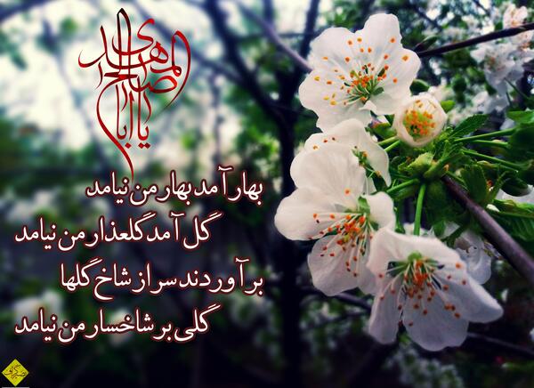 عکس بهار آمد
