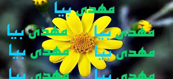 عکس نوشته یا مهدی بیا