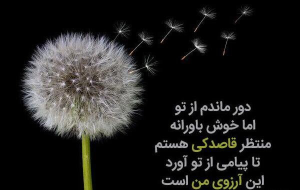 عکس نوشته در مورد ارزو