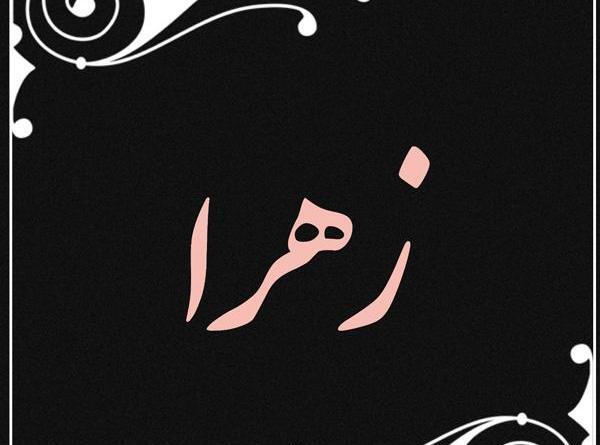 عکس زهرا محمدی بازیگر